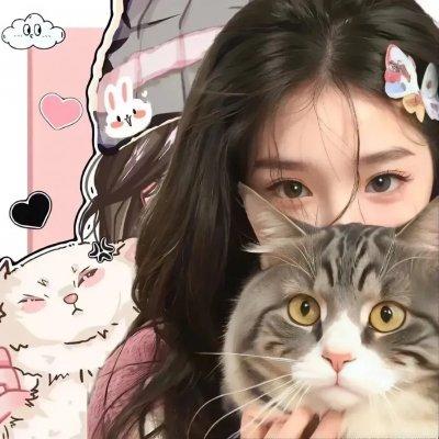 狙击精英：战纪